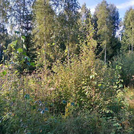 Vila Rauhallinen Moekki Lahti Exteriér fotografie