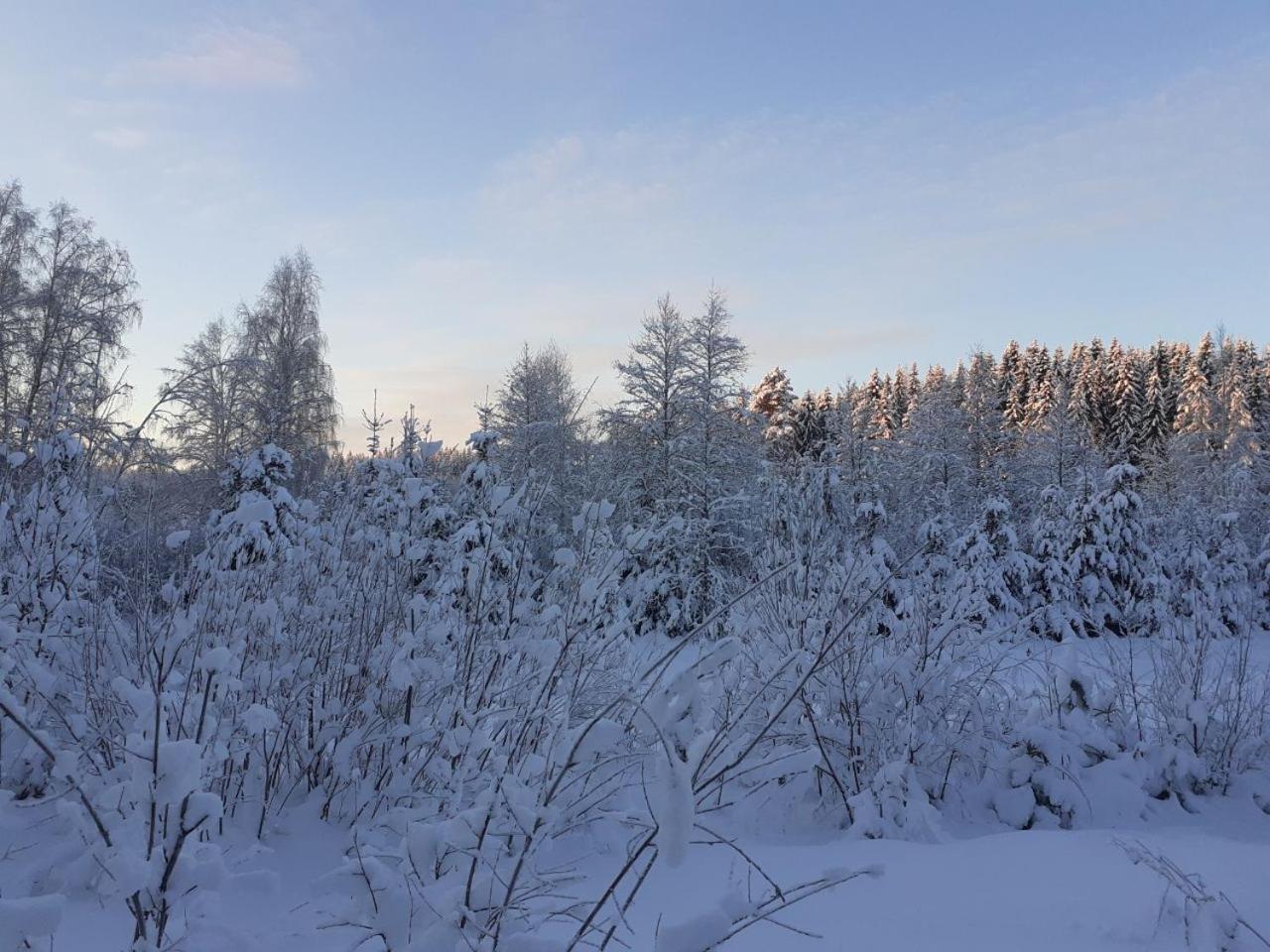 Vila Rauhallinen Moekki Lahti Exteriér fotografie