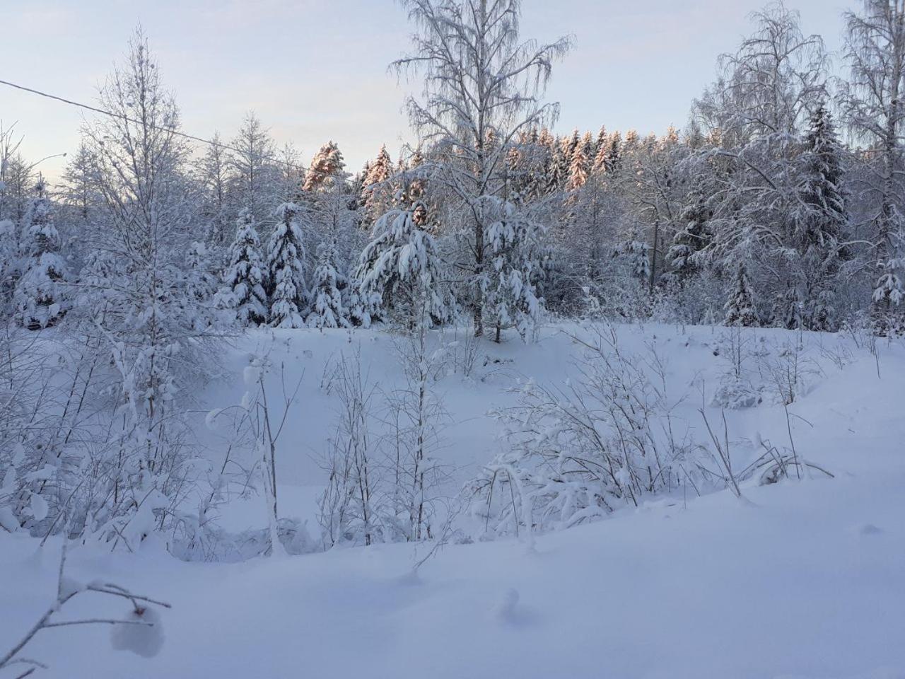 Vila Rauhallinen Moekki Lahti Exteriér fotografie